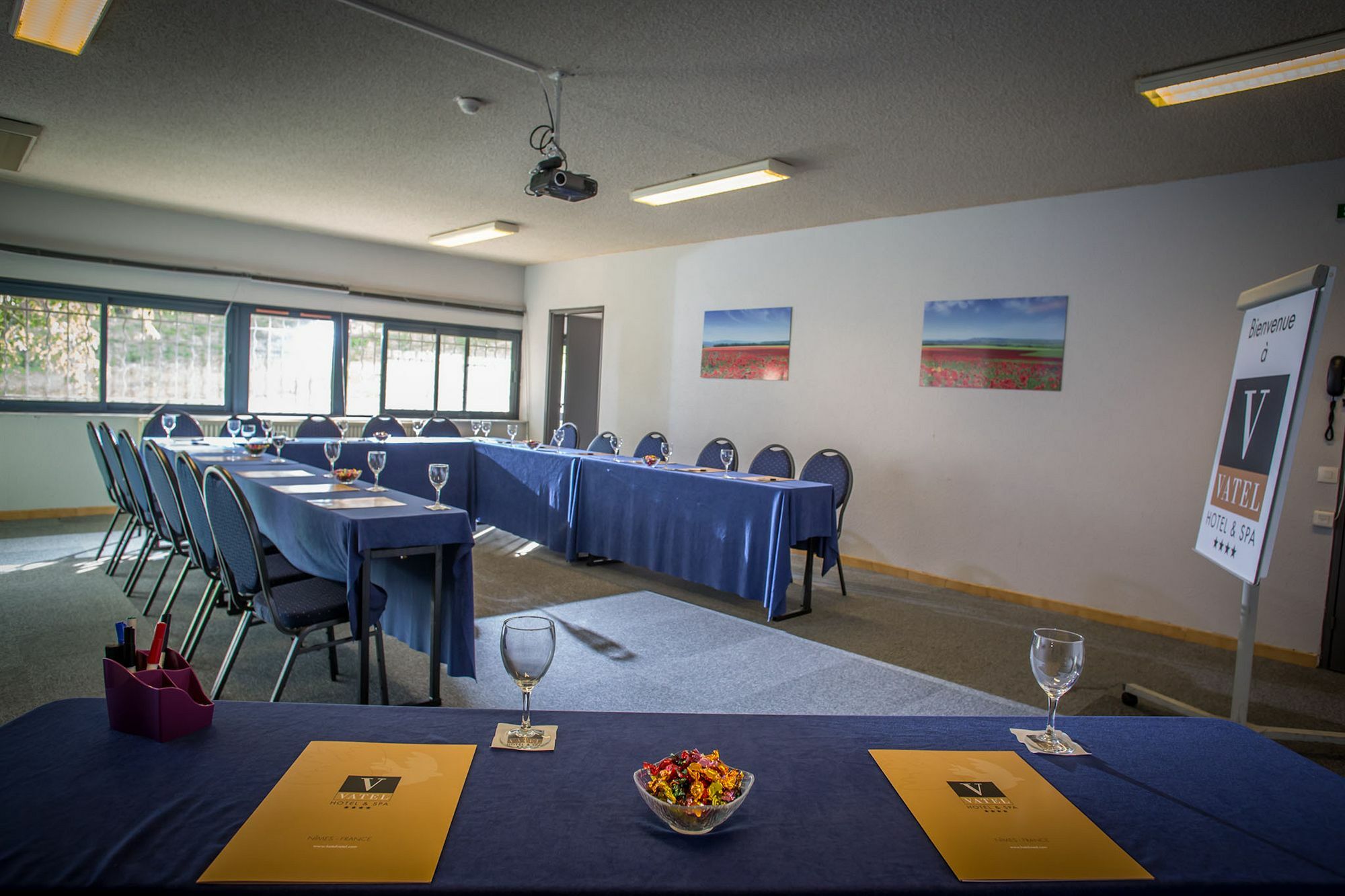 Hotel & Spa Vatel Nîmes Zewnętrze zdjęcie